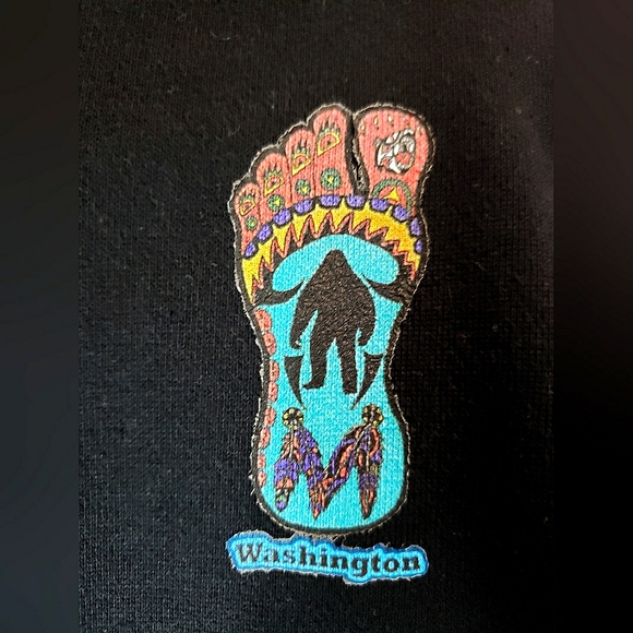 Forks Washington Colorful Mens Large Hoodie Sweatshirt - Picture 3 of 4